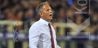 Mihajlovic